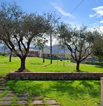 Foto annuncio 40