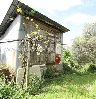 Foto annuncio 32
