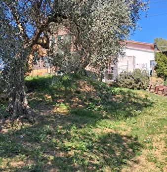 Foto annuncio 6