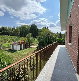 Foto annuncio 17