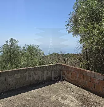 Foto annuncio 12