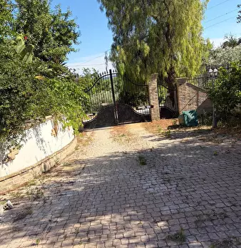 Foto annuncio 24