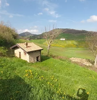 Foto annuncio 5