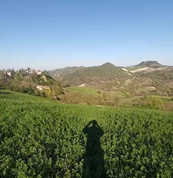 Foto annuncio 8