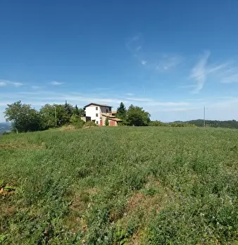 Foto annuncio 48