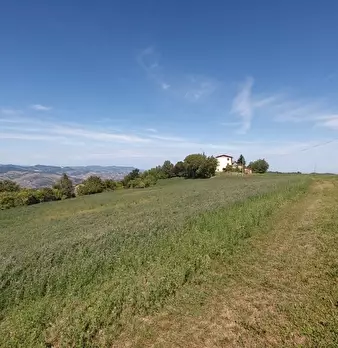 Foto annuncio 46