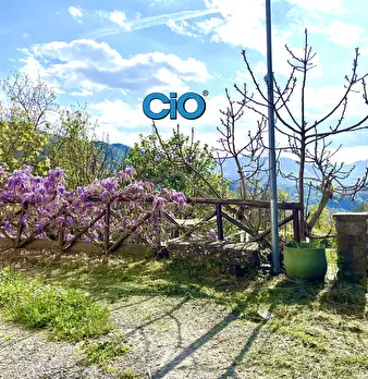 Foto annuncio 17