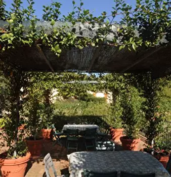 Foto annuncio 30