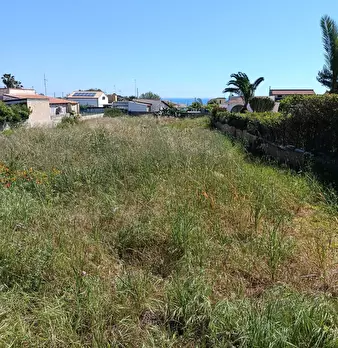 Foto annuncio 7