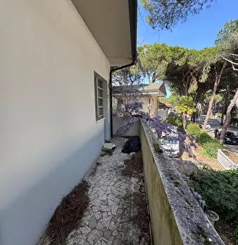 Foto annuncio 22
