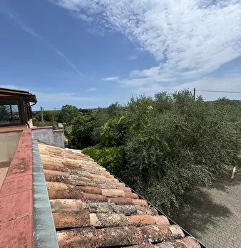 Foto annuncio 53