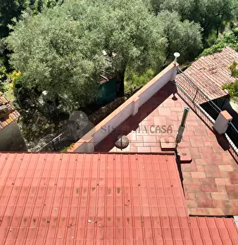 Foto annuncio 46