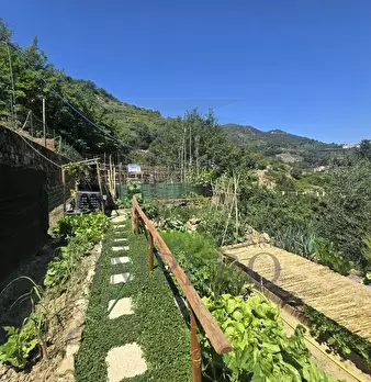 Foto annuncio 7