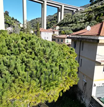 Foto annuncio 26