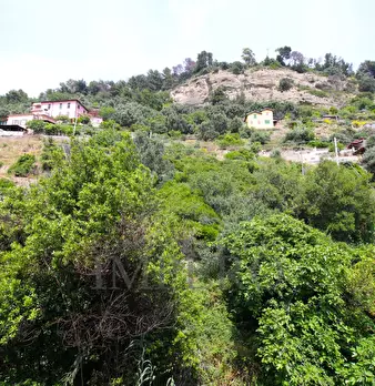 Foto annuncio 14