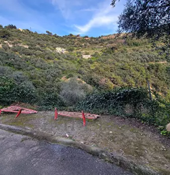 Foto annuncio 12