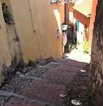 Foto annuncio 11