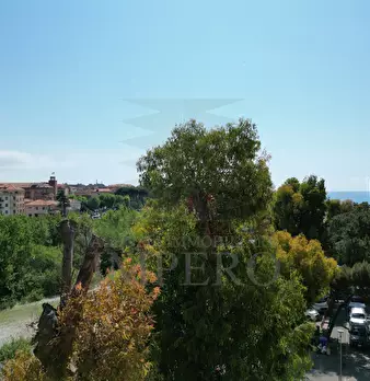 Foto annuncio 22