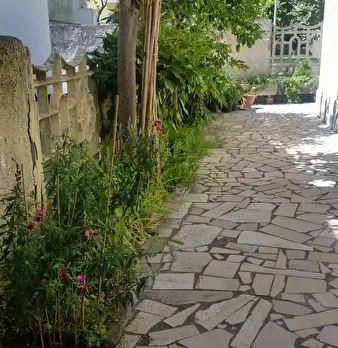 Foto annuncio 8