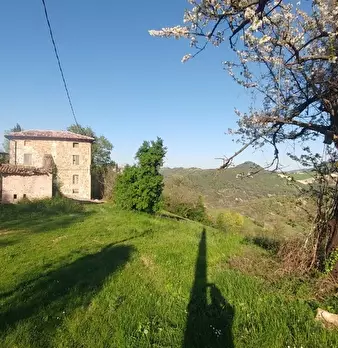 Foto annuncio 24