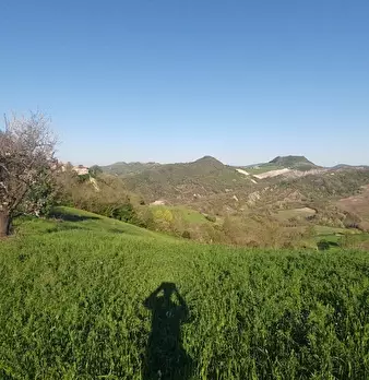 Foto annuncio 20
