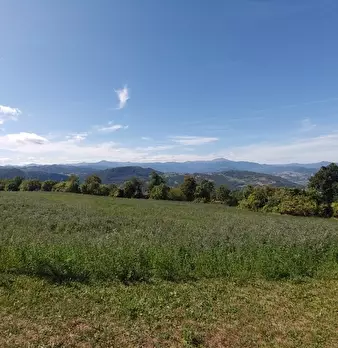 Foto annuncio 49