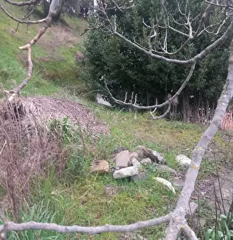 Foto annuncio 3