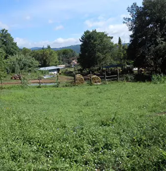 Foto annuncio 9