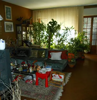 Foto annuncio 7