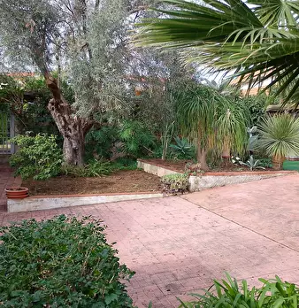 Foto annuncio 19
