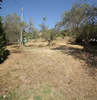 Foto annuncio 26