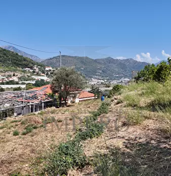 Foto annuncio 13