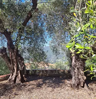 Foto annuncio 30