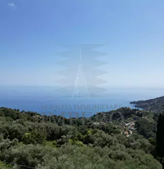 Foto annuncio 44