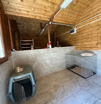 Foto annuncio 21