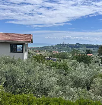 Foto annuncio 22