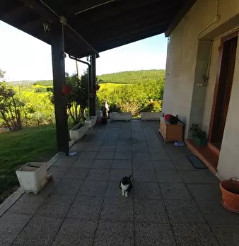 Foto annuncio 10