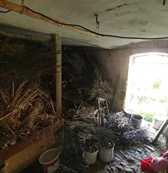 Foto annuncio 32