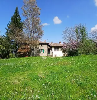 Foto annuncio 36