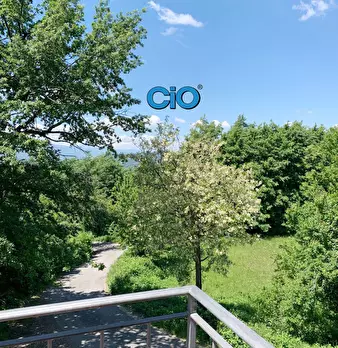 Foto annuncio 6
