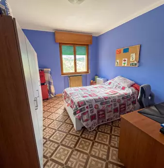 Foto annuncio 12