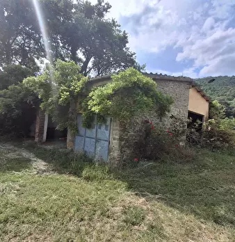 Foto annuncio 21