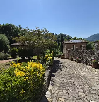 Foto annuncio 73