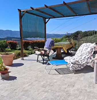 Foto annuncio 2