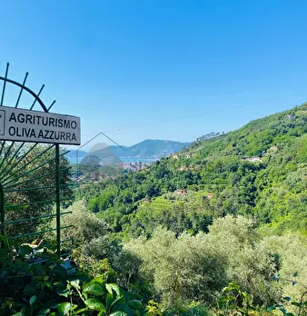 Foto annuncio 49