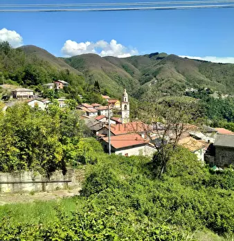 Foto annuncio 5