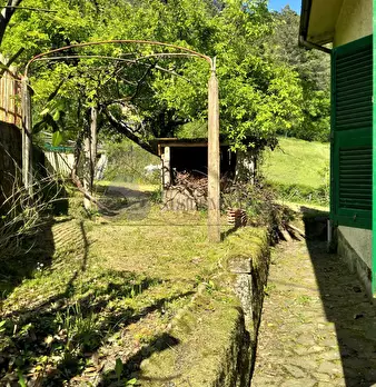 Foto annuncio 11