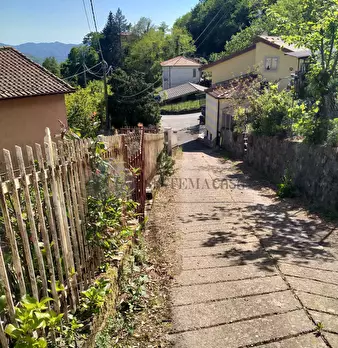Foto annuncio 24