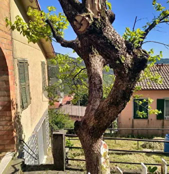 Foto annuncio 17