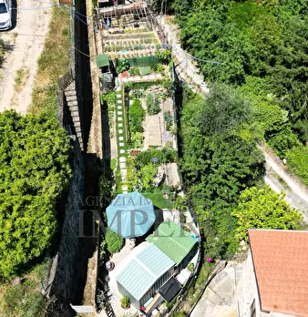 Foto annuncio 10